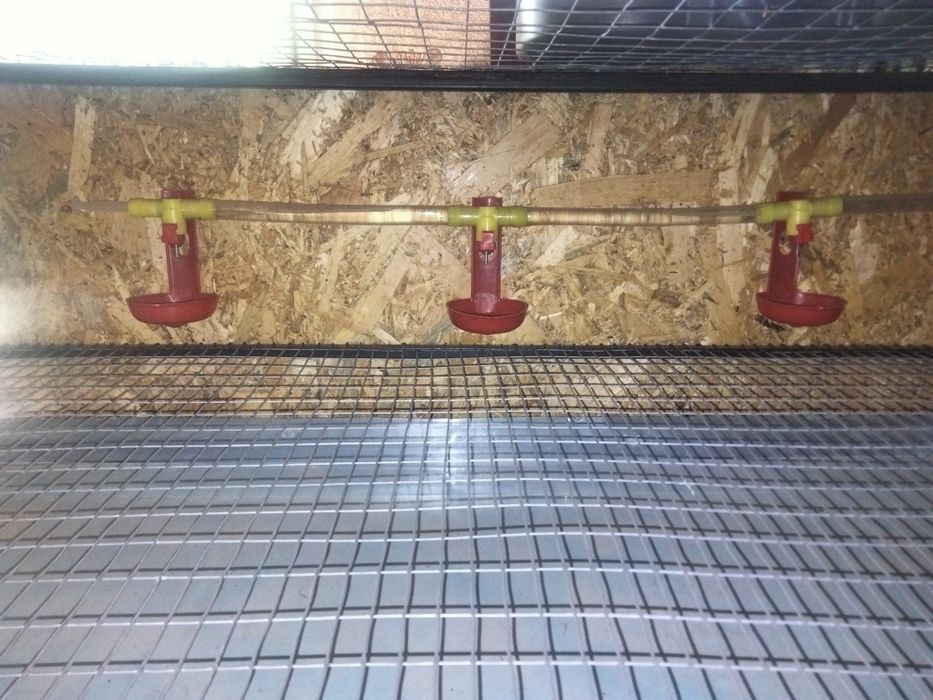 Клітки для перепілок 
Розміри 92 х50х22
Система поїнн