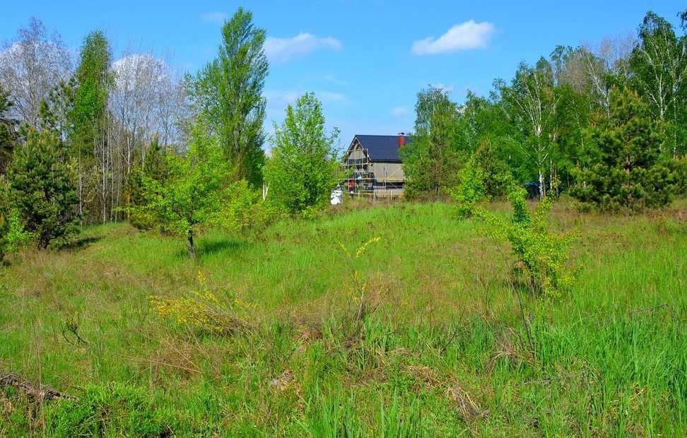 Фасадна ділянка в с. Гореничи вул. Яблунева 9 соток