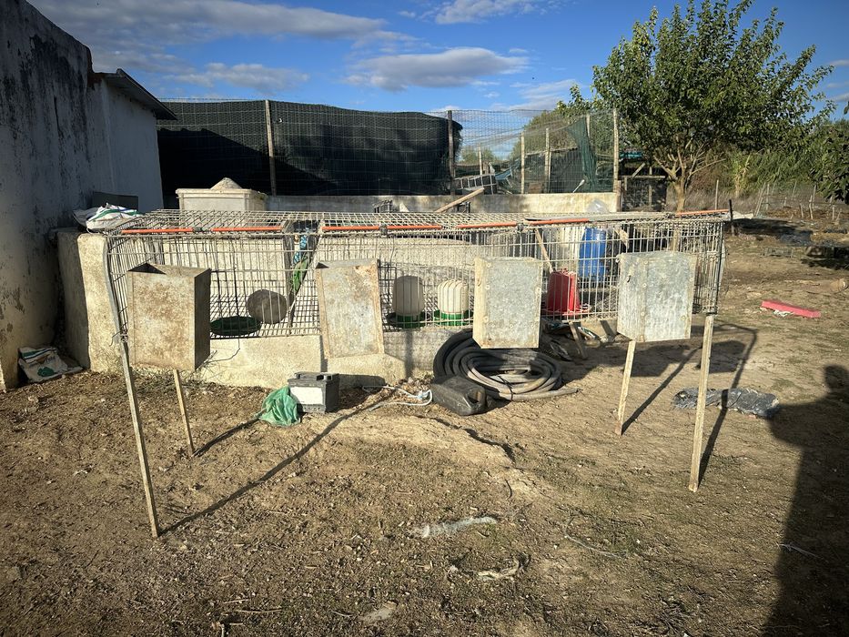 Coelheiras para coelhos ou outros animais