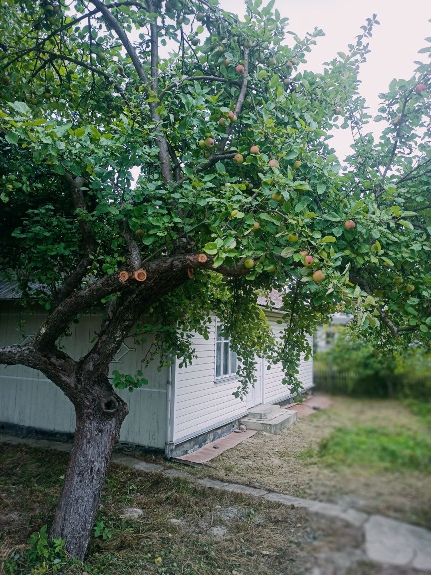 Продам хату в с.Кривець, Богородчанського району