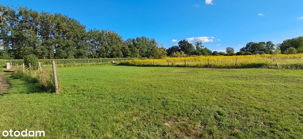 Działka z warunkami zabudowy