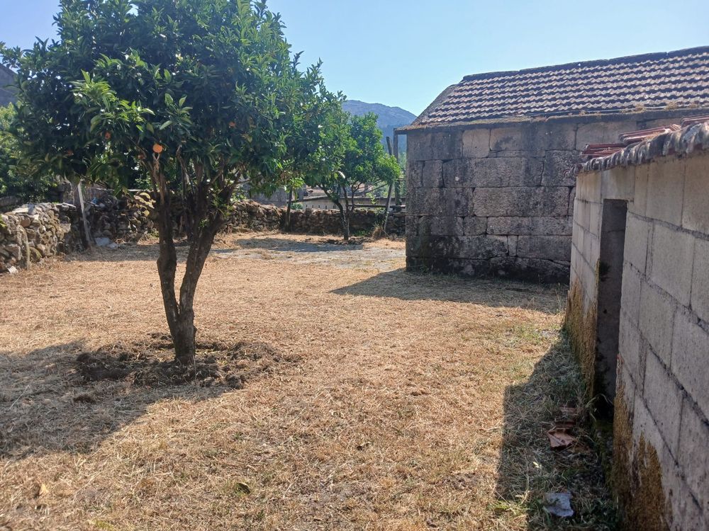 Terreno rural com casa antiga