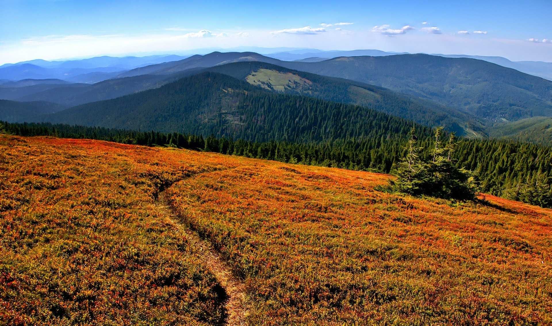 BESKIDY, PILSKO, KORBIELÓW. Klimatycznie, przy szlaku i górskim potoku