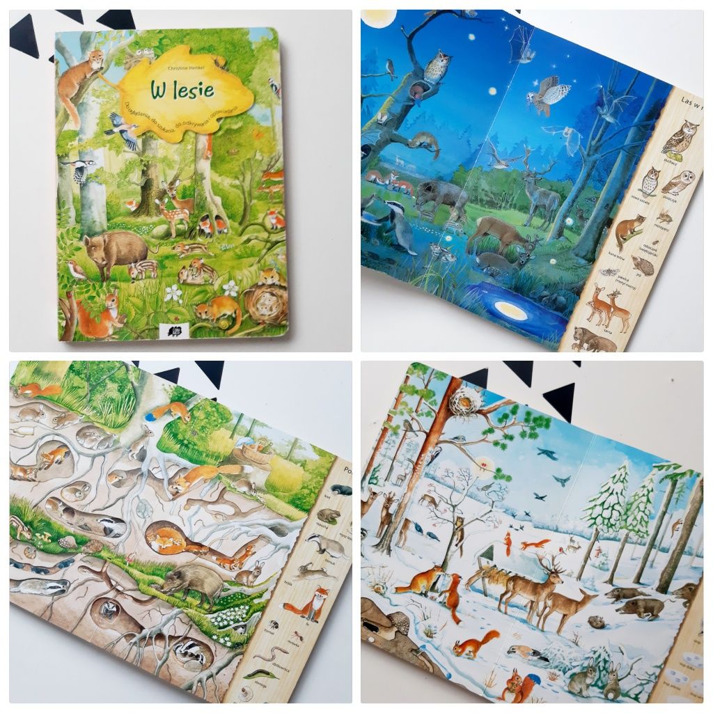 W lesie Henkel książka obrazkowa picture books wyszukiwanka