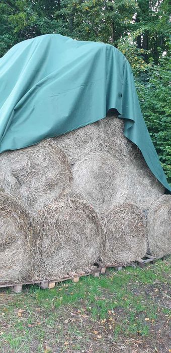Siano  Słoma w balach baloty bale bele suche tegoroczne Okolice Grybów