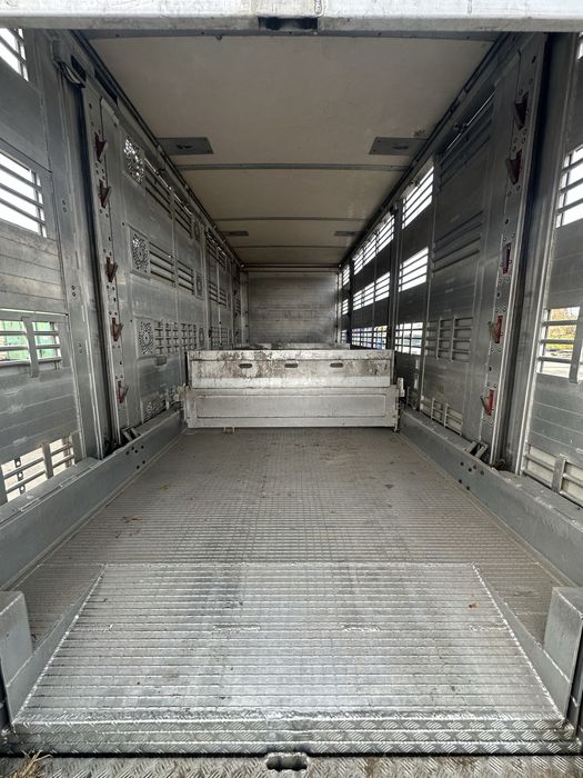 Перевезення свиней, поросят і овець.