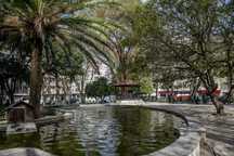 quarto para aluguer em Campo de Ourique