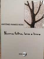 NUMA FOLHA LEVE E LIVRE, de António Ramos Rosa (2013)