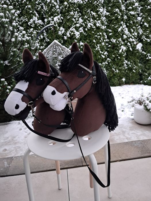 Hobby horse gniady A4