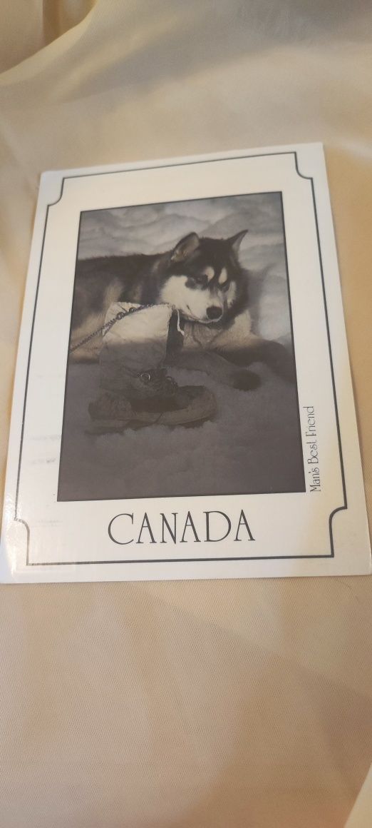 Pocztówka znaczek pies połnocy Alaskan Malamut Kanada 1983r