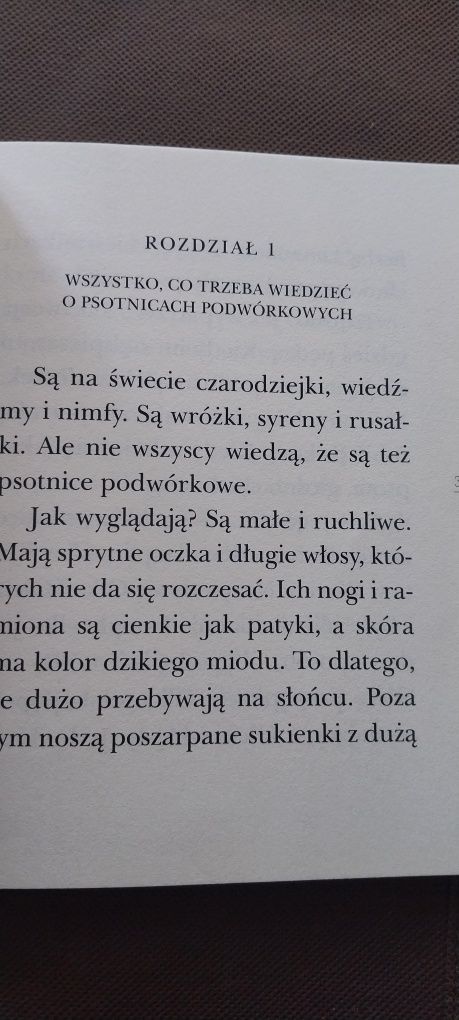 Ksiązki.R.Witek.Psotnice podwórkowe