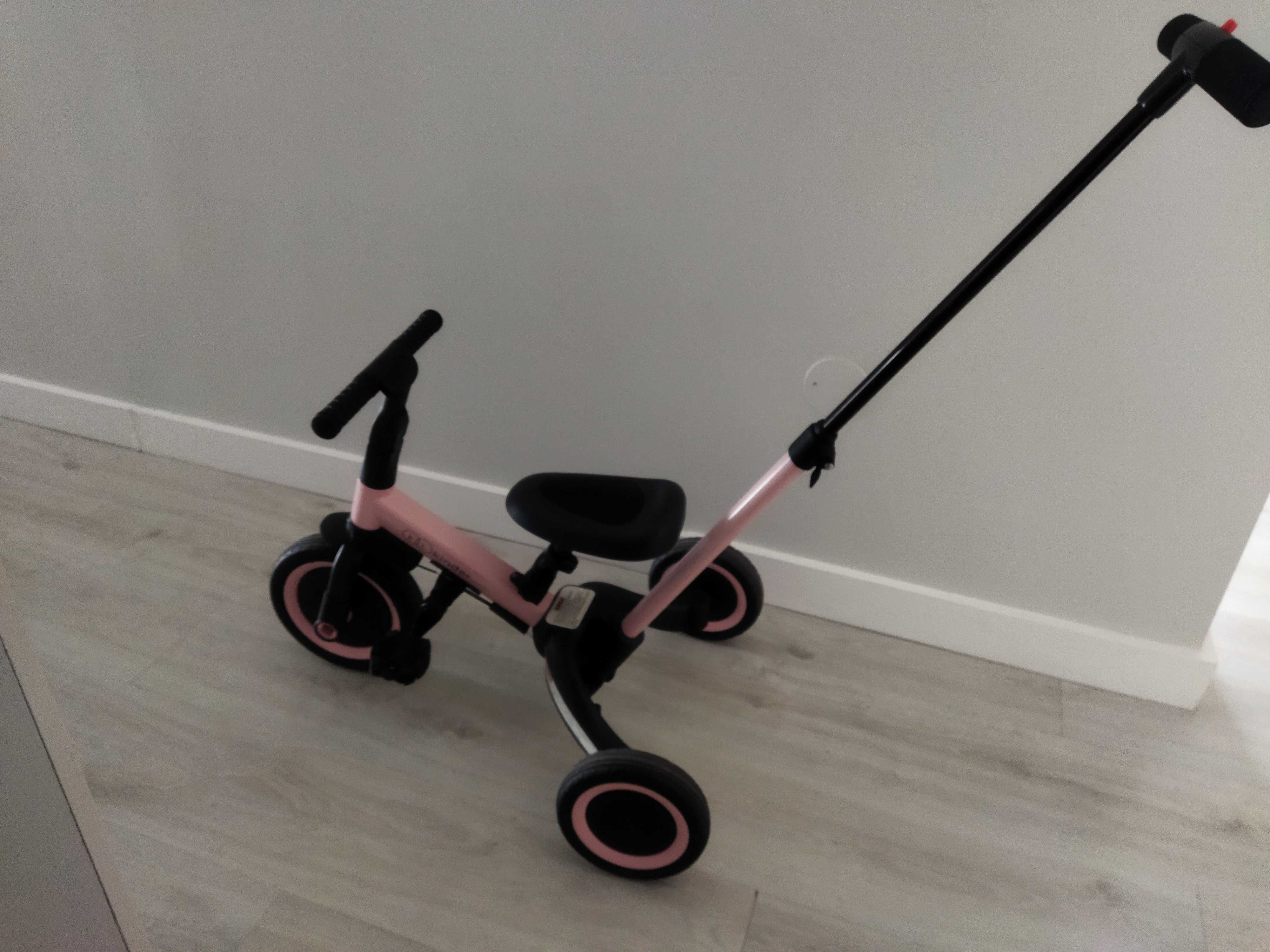 Triciclo evolutivo