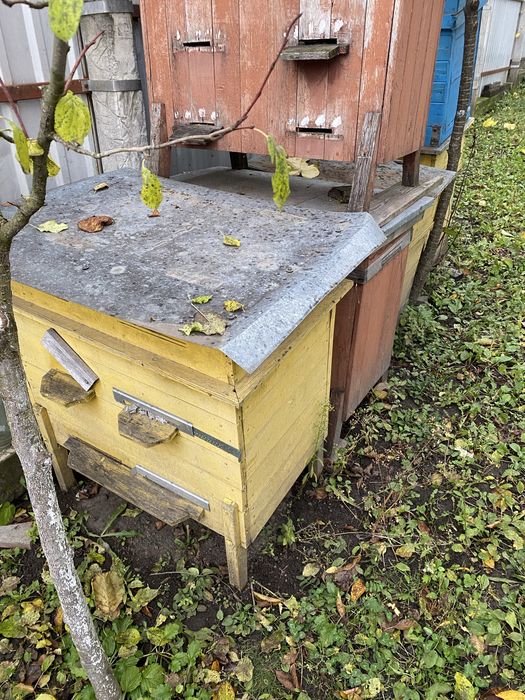 Продам вулики бу під українську рамку