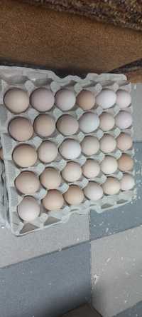 Домашні смачні яйця