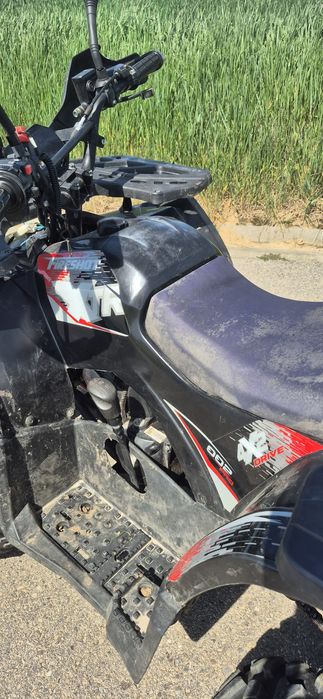 Quad xtr 125cc 2023r