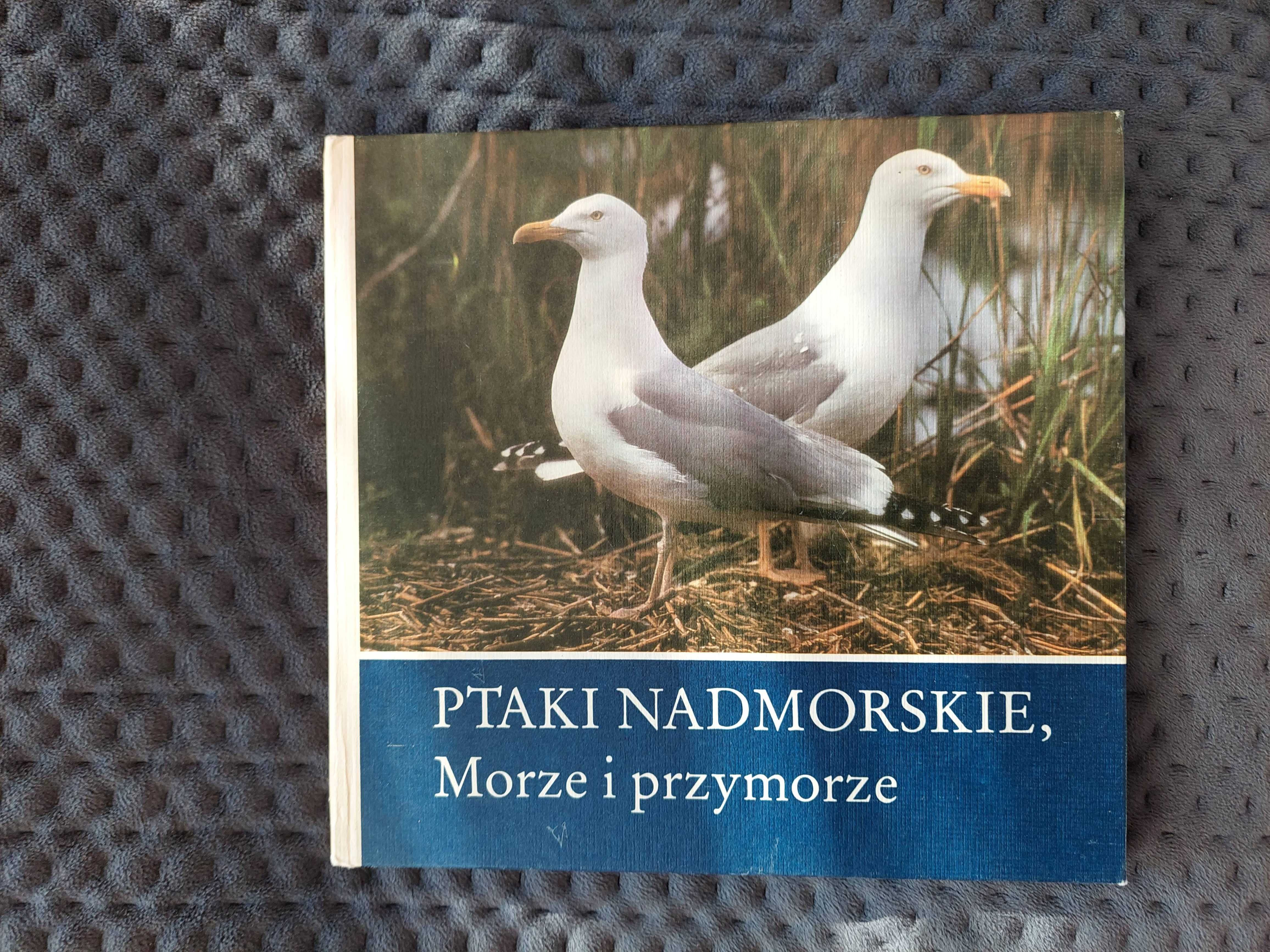 Książka "Ptaki nadmorskie, Morze i przymorze". Claus Schonert.