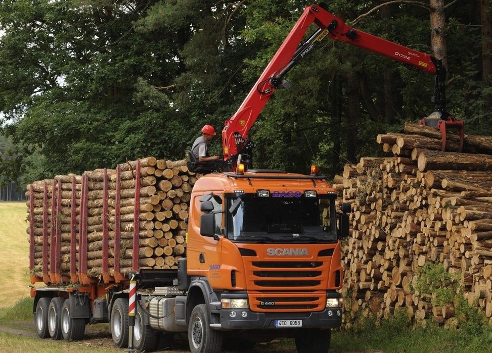 Послуги лісовоза