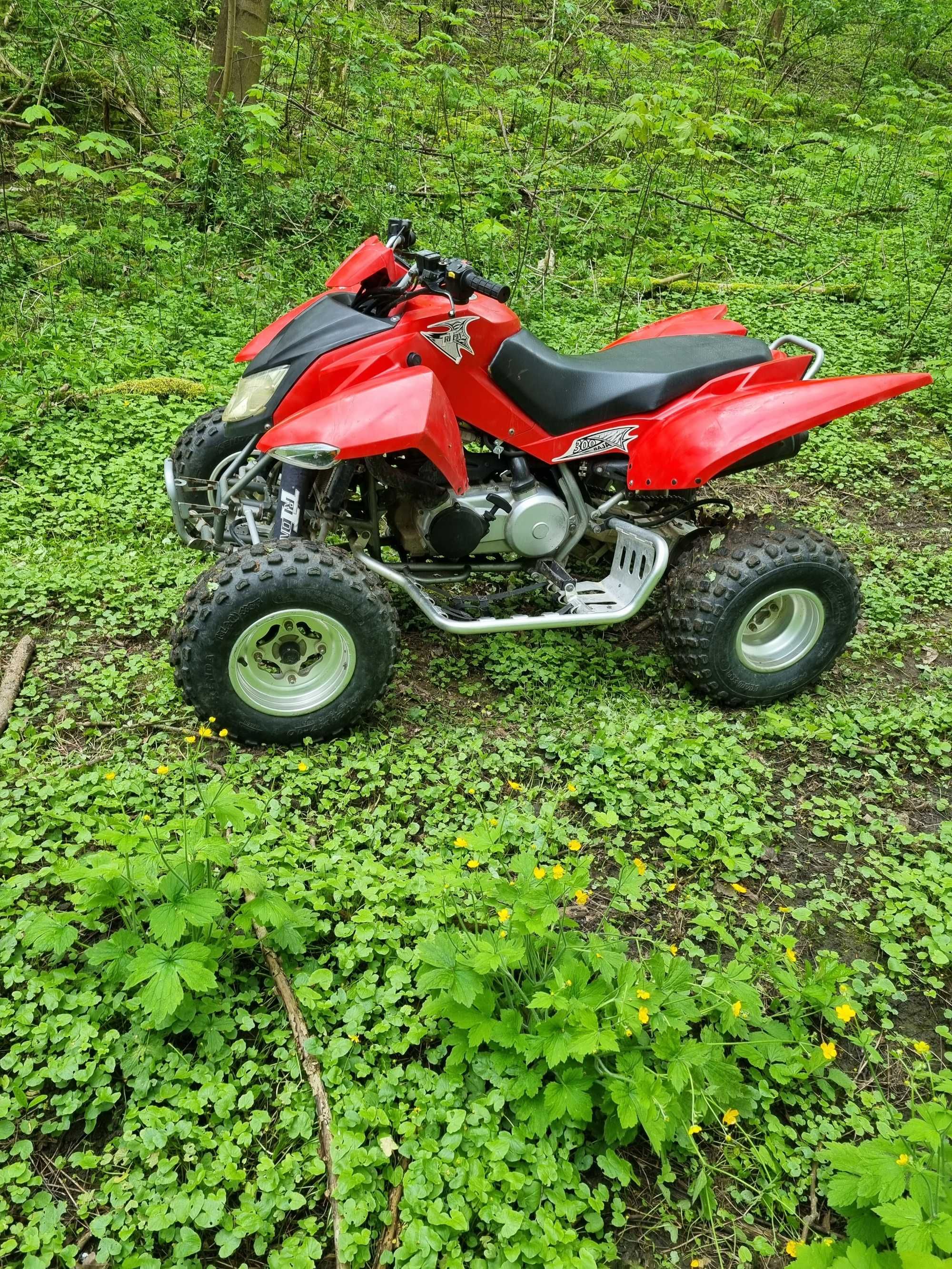 Quad Triton baja 300