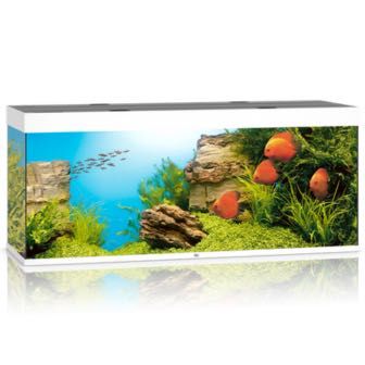 Juwel akwarium z wyposażeniem RIO 450, oświetlenie LED, grzałka, filtr