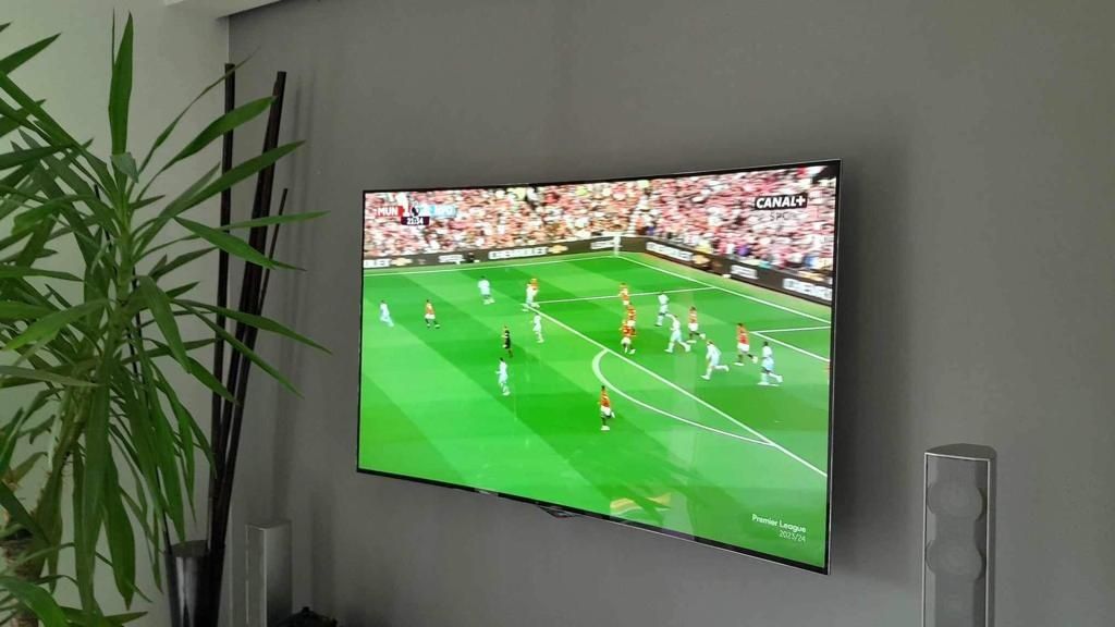 Telewizor LG 138 cm (55) OLED