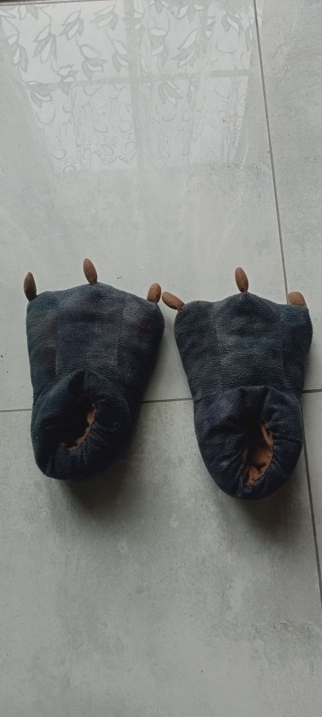 Kapcie nogi dinozaura