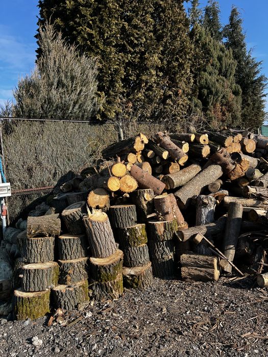 TANIO drewno opałowe