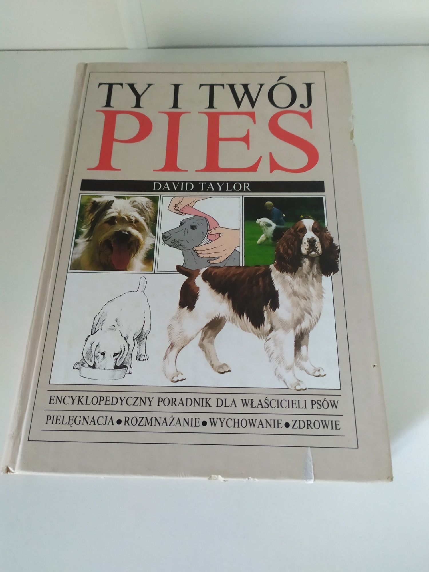 Ty i Twój pies - David Taylor - Poradnik Encyklopedia psów