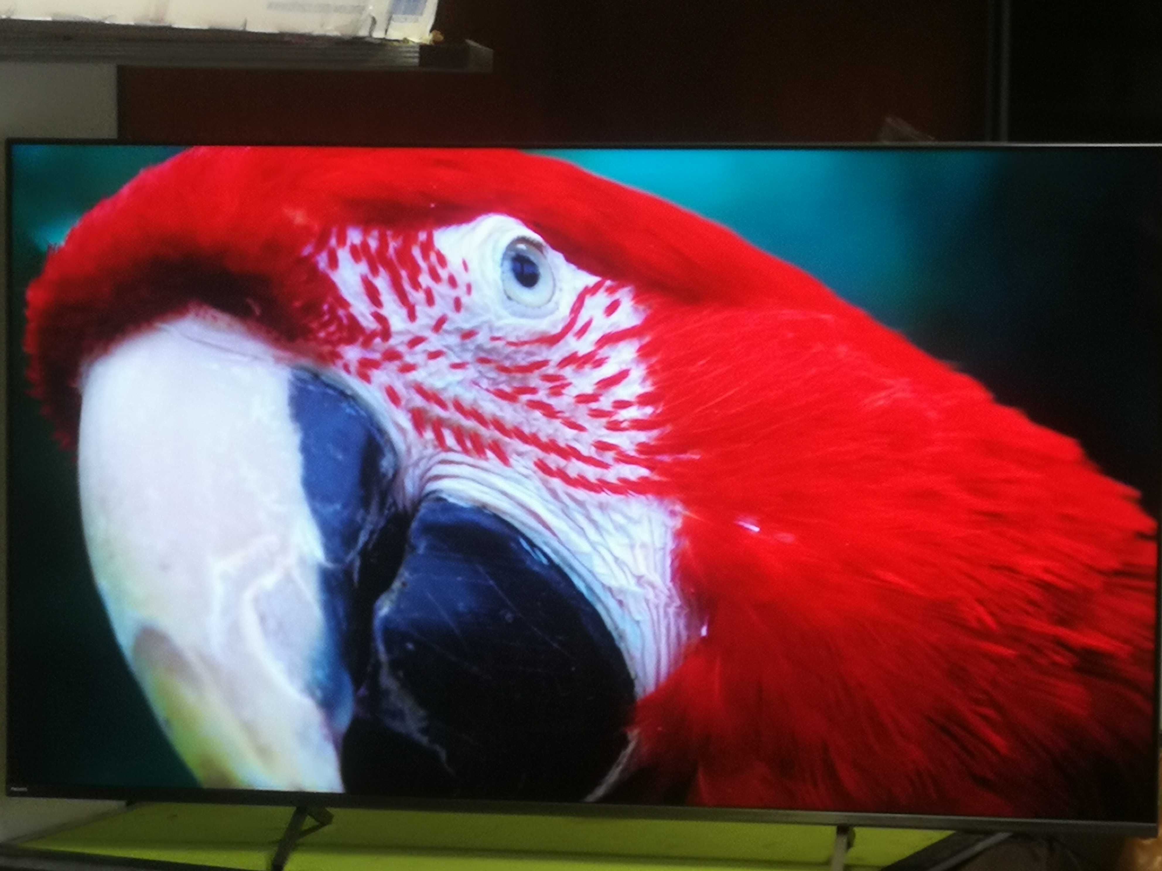 Telewizory  PHILIPS 50 cale 4K UHD, Google Tv, Ambiliht3 Super Stan