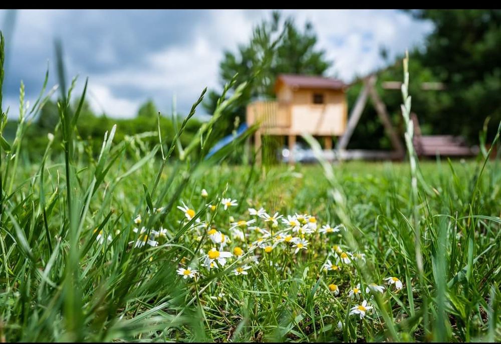 Wolny od dziś ! Domek na Polance