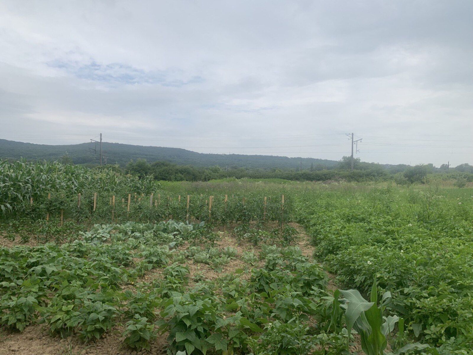 Продаж ділянки район Доманинці.