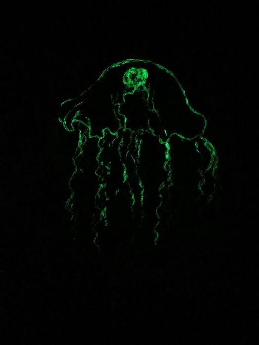 Autorski obraz -ilustracja technika mieszana