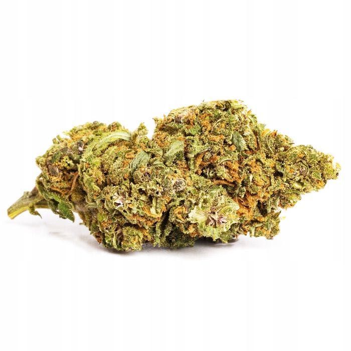 100G Susz konopny CBD LEMON HAZE 0,20%