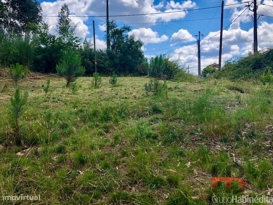 Terreno Rústico  Venda em Sobreira,Paredes