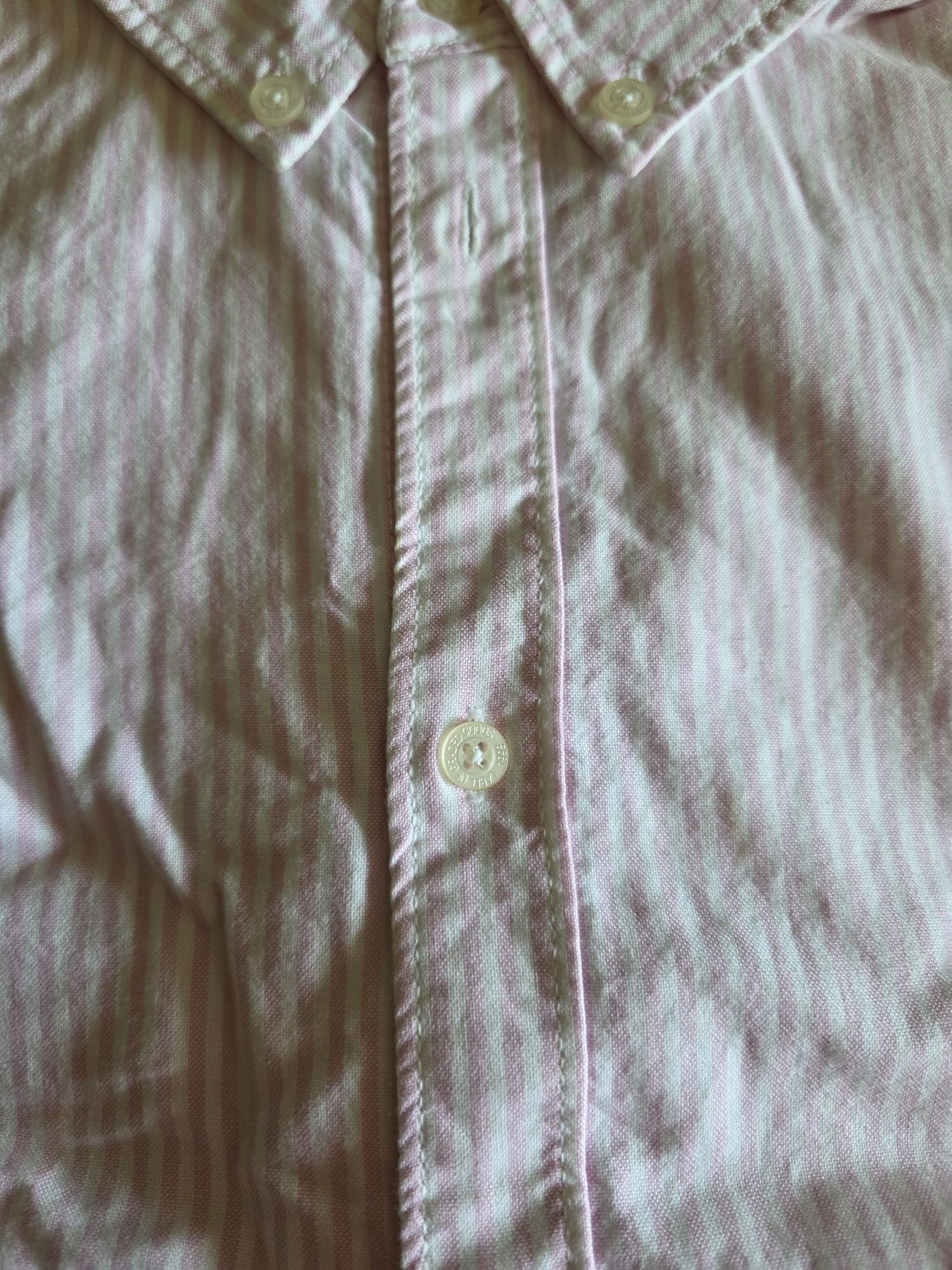Camisas manga comprida