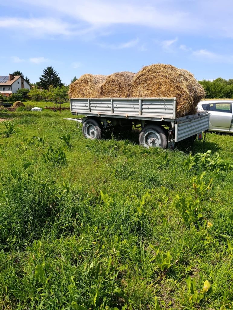 Przyczepa sztywna D47