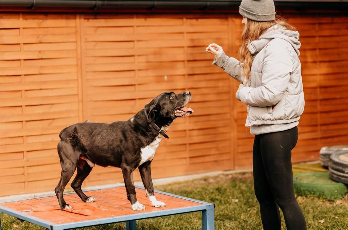 Jestem czarny, jestem duży... Nikt mnie nie adoptuje...