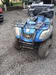 Quad.  250 Puma 2008r