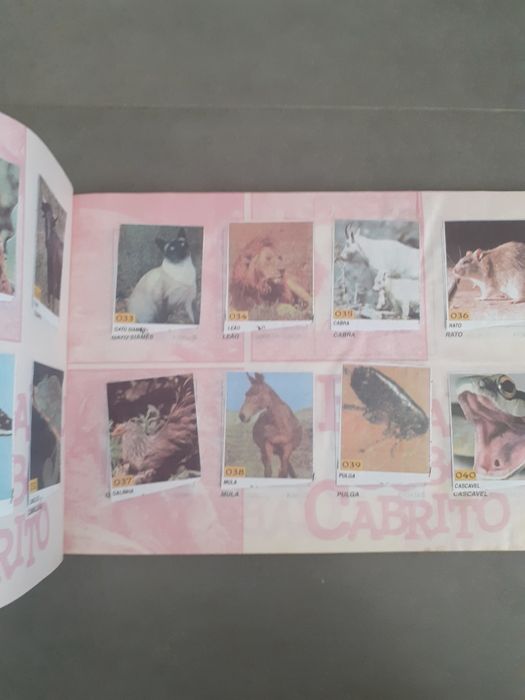 Caderneta cromos, bacalhau, cobaia (completa)