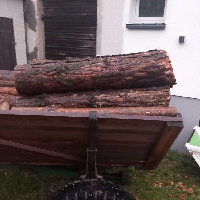 Drewno opałowe sosna.