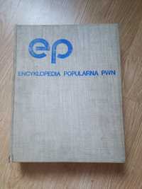 Encyklopedia PWN