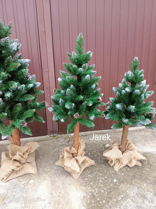 Choinki na pniu promocja hurt detal