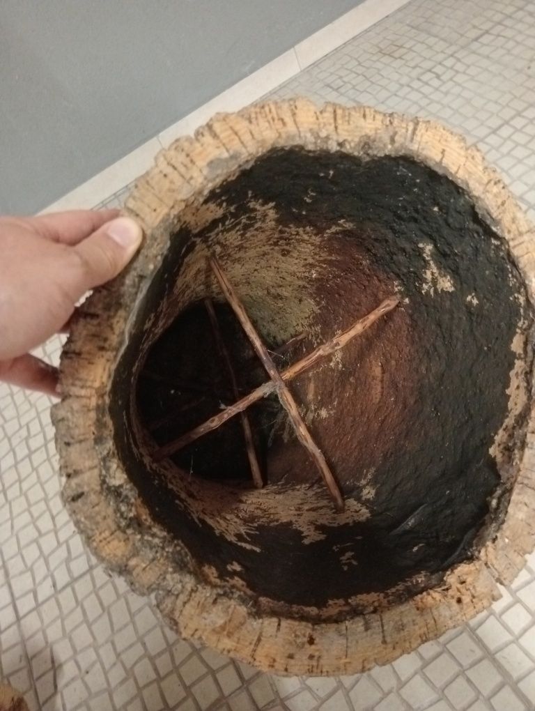 Cortiço colmeia em bom estado