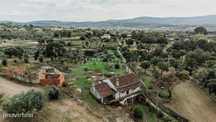 Quinta / Fundão, Pêro Viseu