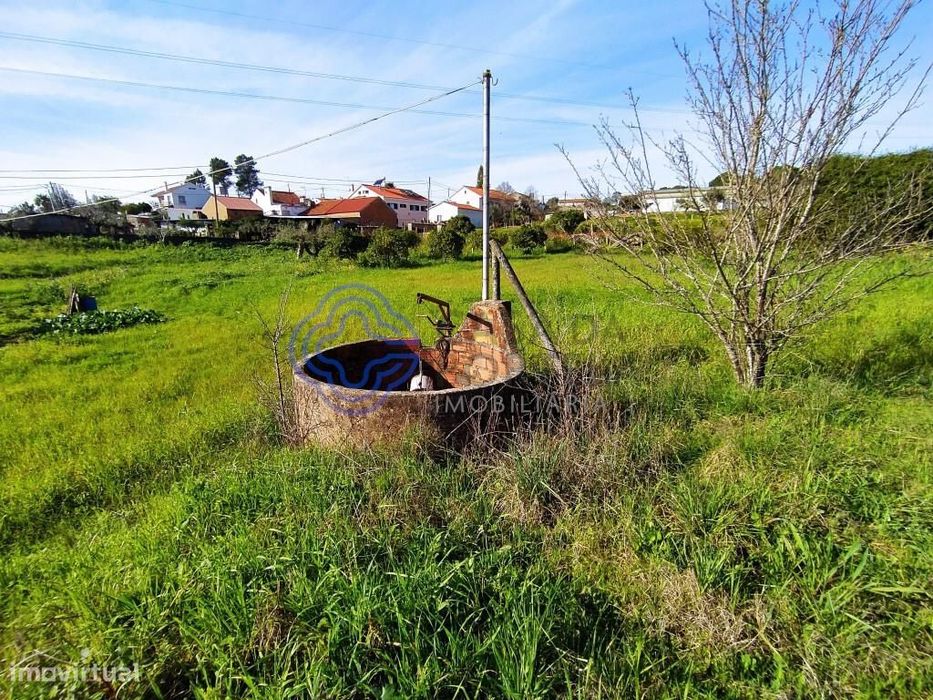 Lote de terreno a 4 km da cidade de Tomar no centro de Portugal