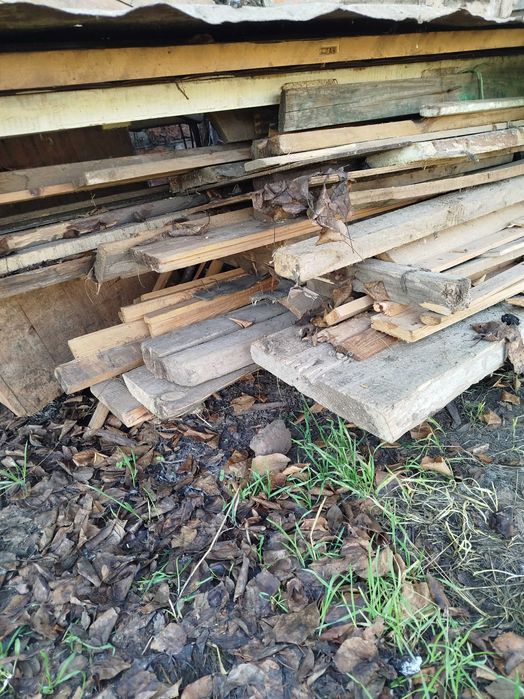 Продам дрова для опалення