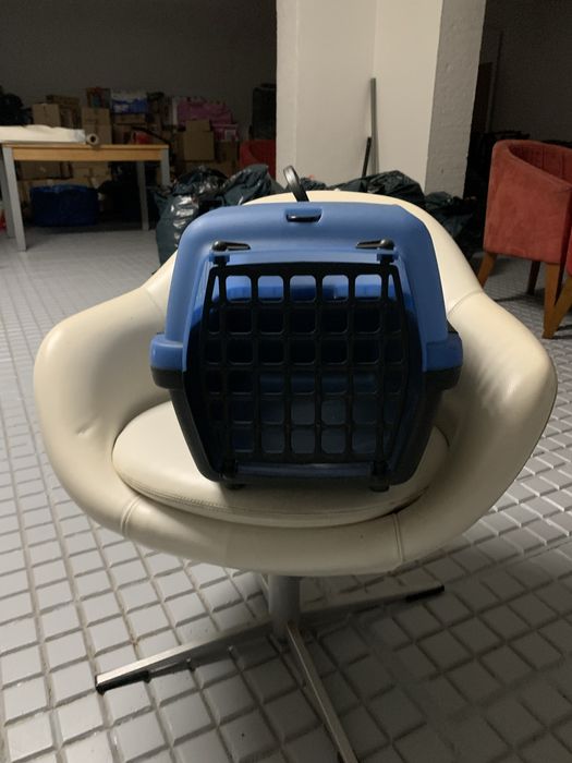 Transportadora de animais