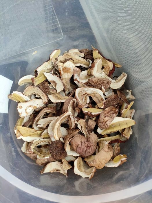 Grzyby suszone ,same prawdziwki