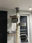 Drapak sufitowy dla kota wys. 250cm