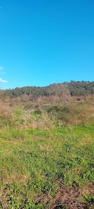 Terreno Para Venda Em Lousada
