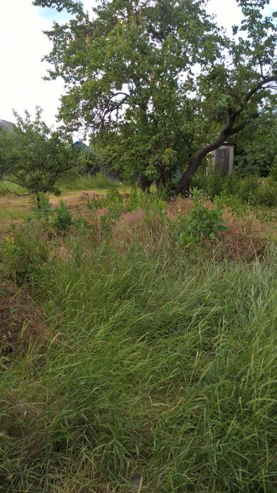 Дом с постройками в п.г.т.Кушугум